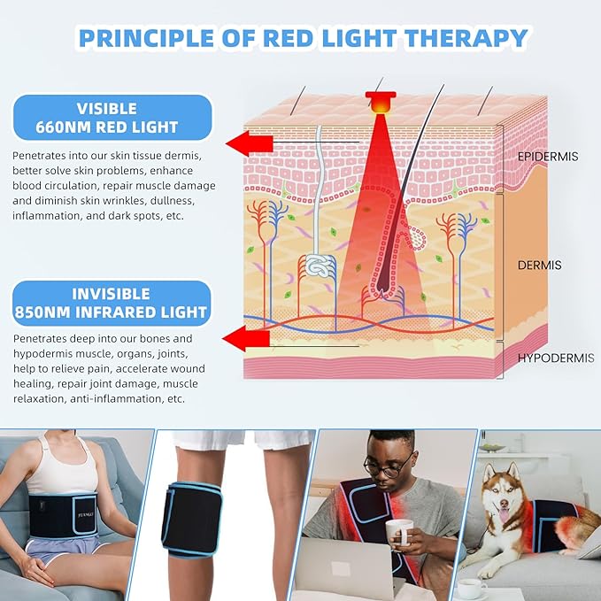 LED Red Infrared Light Therapy Belt